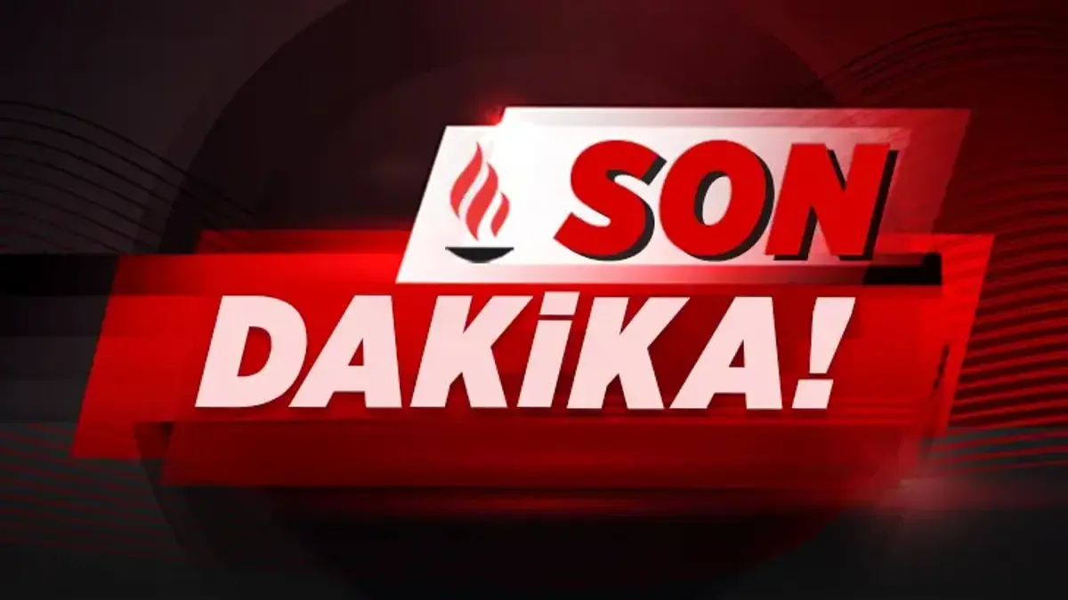 Son dakika... Alihan Kuriş suç örgütü soruşturmasında 5 şirkete el koyma kararı verildi